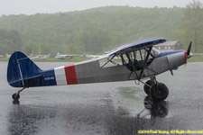 wing-washing downpour